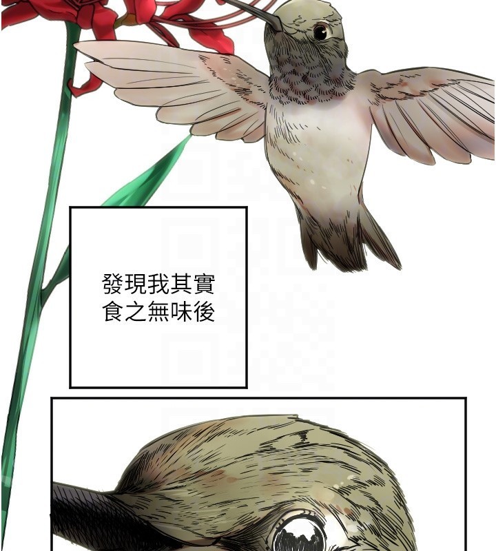 22P - 守护天使