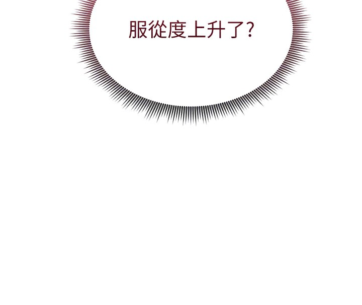 86P - 私密视角
