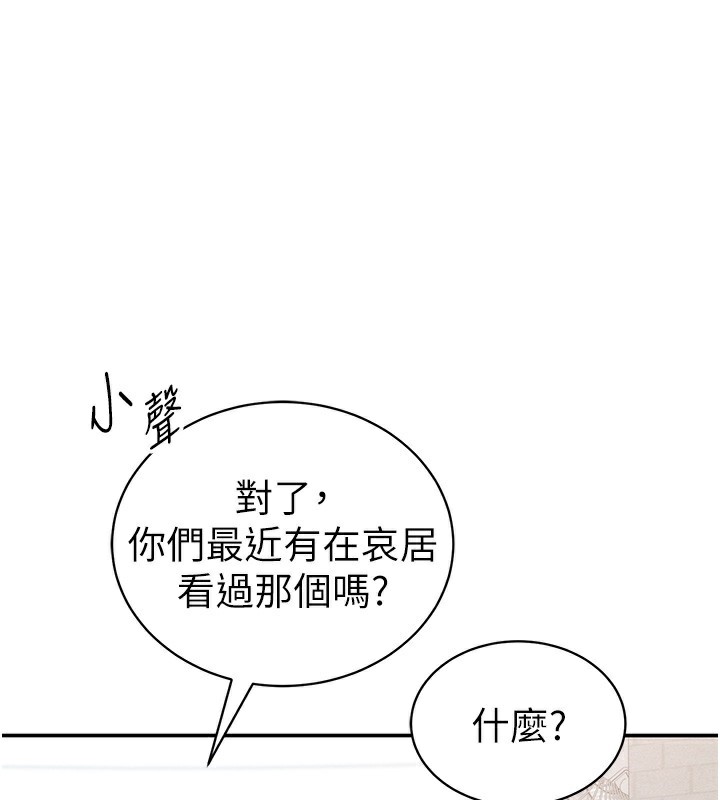 1P - 私密视角