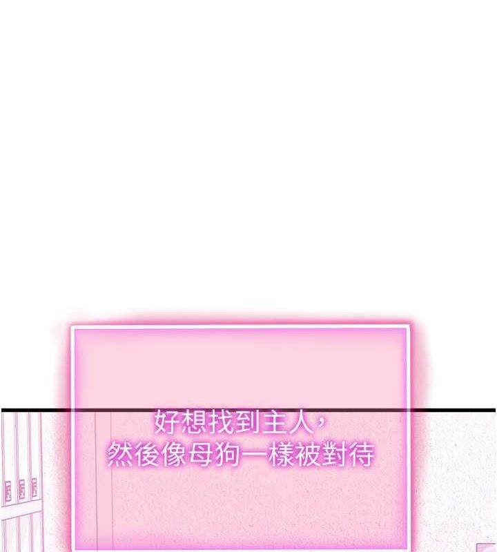 1P - 私密视角
