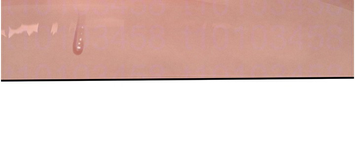 34P - 黑道千金