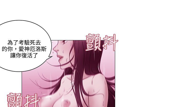 43P - 处子猎人