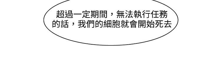 51P - 处子猎人