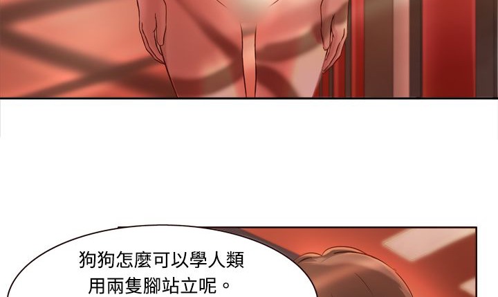 6P - 处子猎人