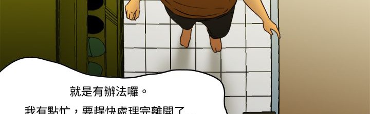 13P - 处子猎人