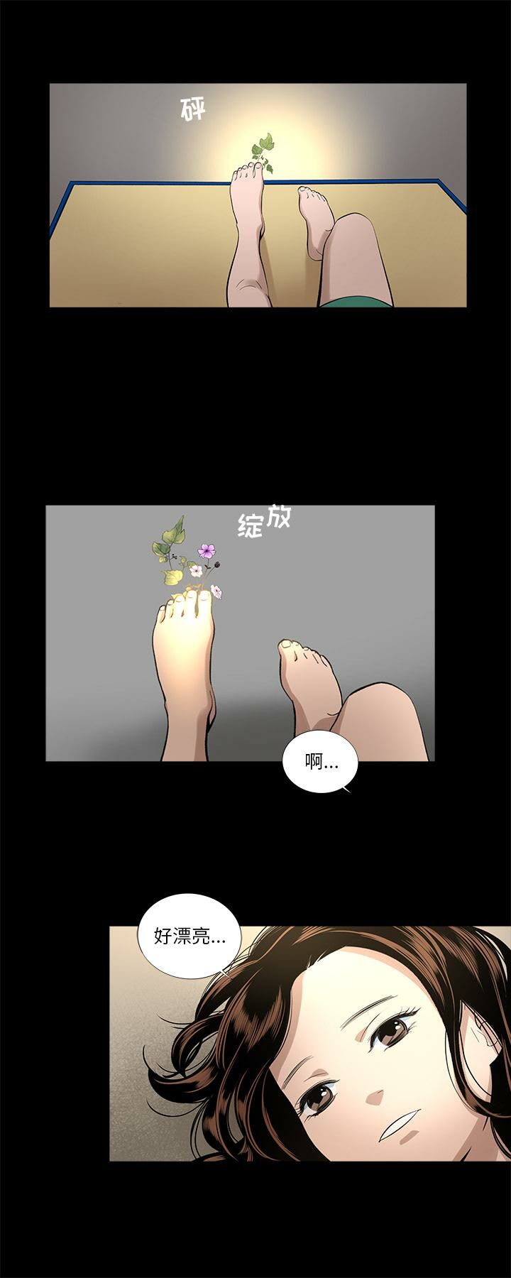 7P - 韩道修