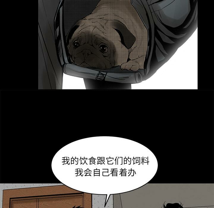 78P - 韩道修