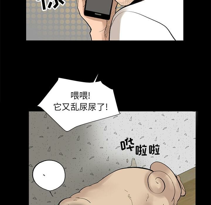 13P - 韩道修