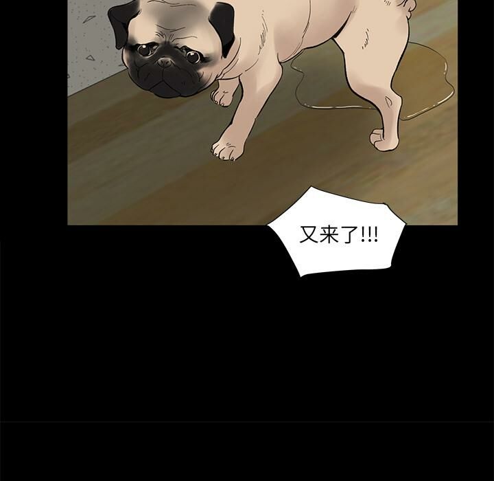 14P - 韩道修