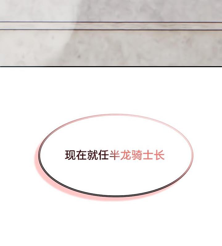 27P - 被召唤到异世界，然后成为半龙骑士长