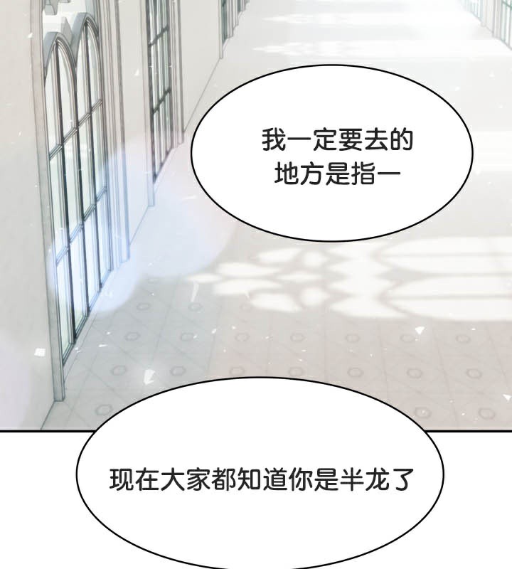 110P - 被召唤到异世界，然后成为半龙骑士长