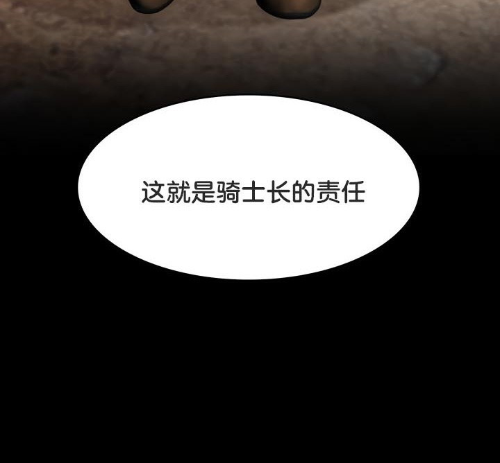 36P - 被召唤到异世界，然后成为半龙骑士长