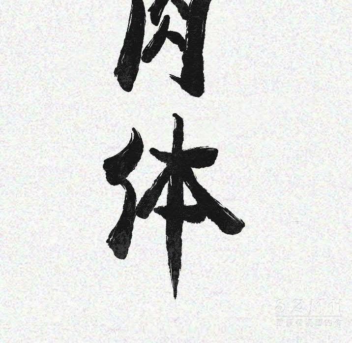 15P - 肉体