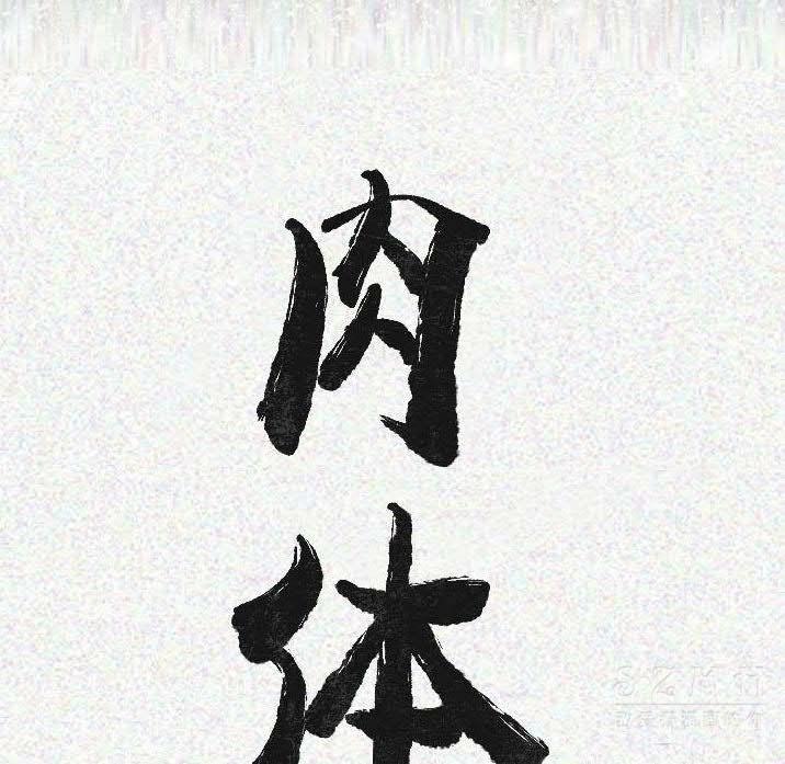 14P - 肉体