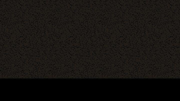 213P - 肉体