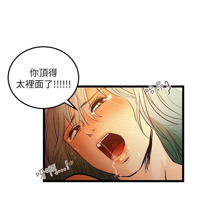 36P - 主播H日记