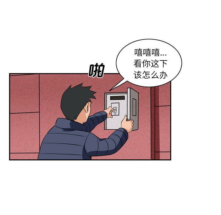 13P - 深夜用品店