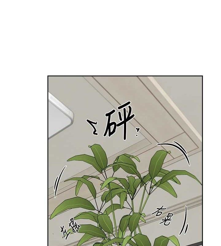 47P - 深层洁净达人