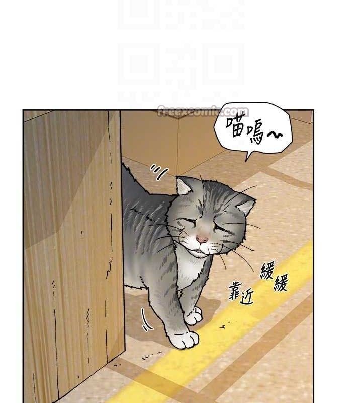 75P - 深层洁净达人