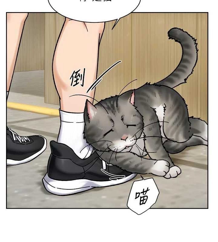 78P - 深层洁净达人