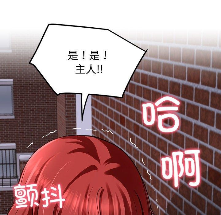 47P - 后宫之王