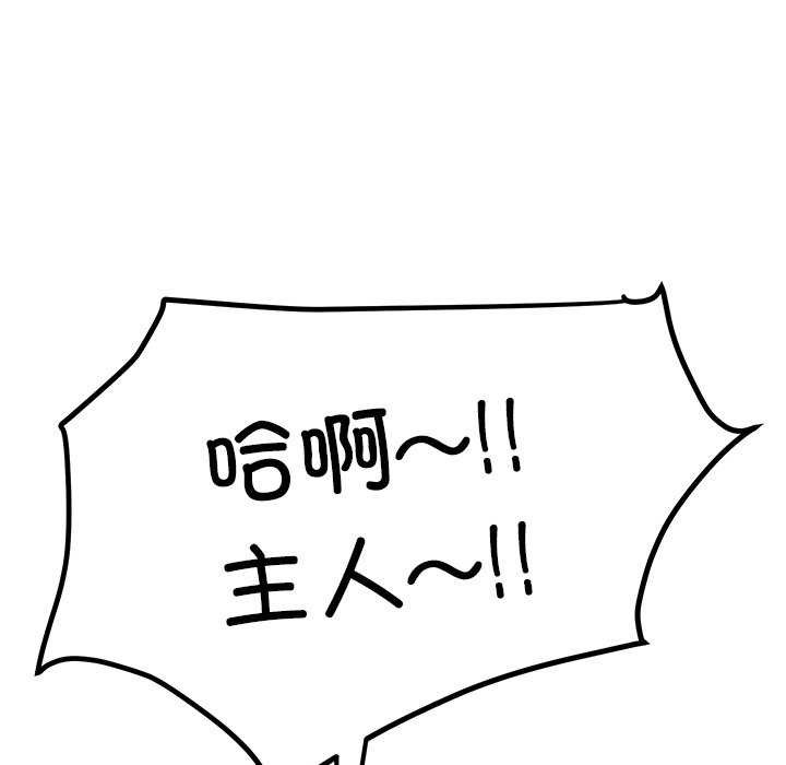 5P - 后宫之王