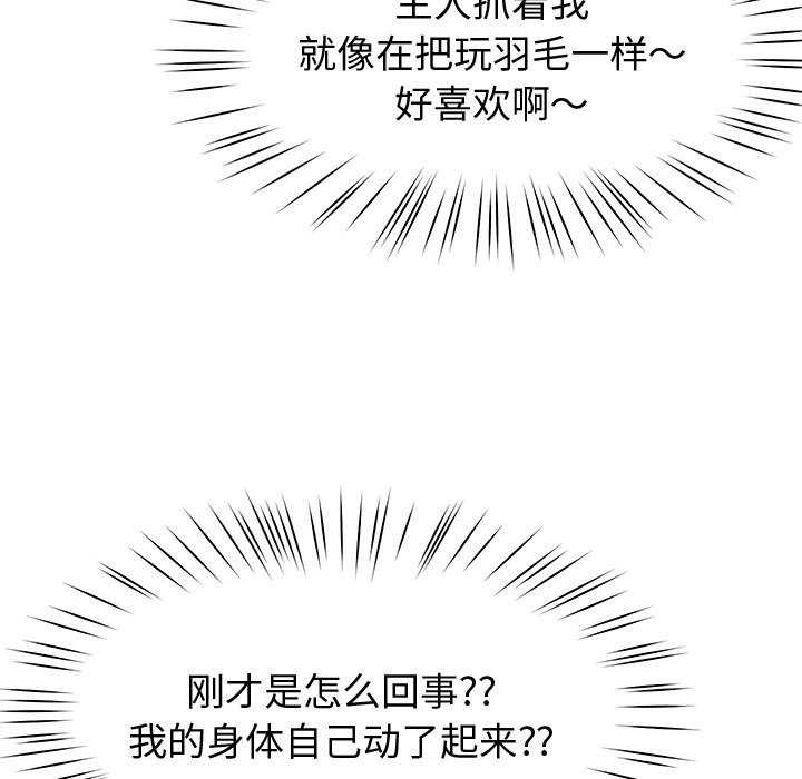 80P - 后宫之王