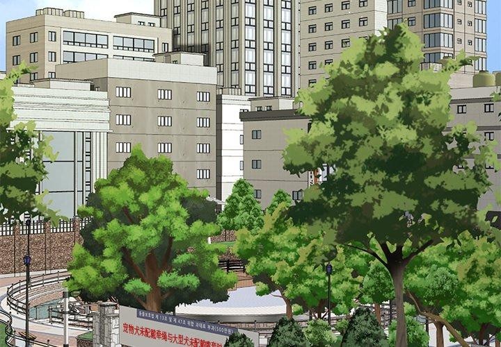 4P - 后宫之王