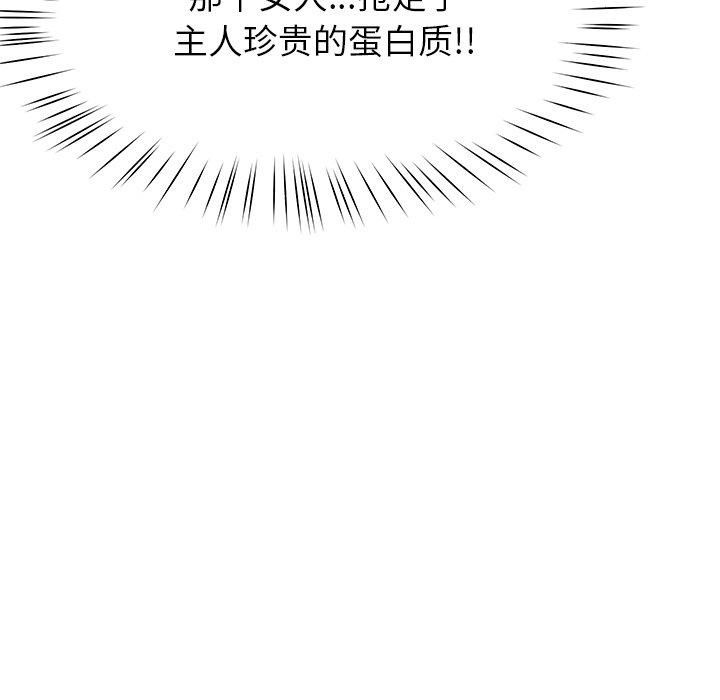 23P - 后宫之王