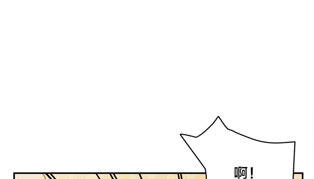 174P - 情趣绳子