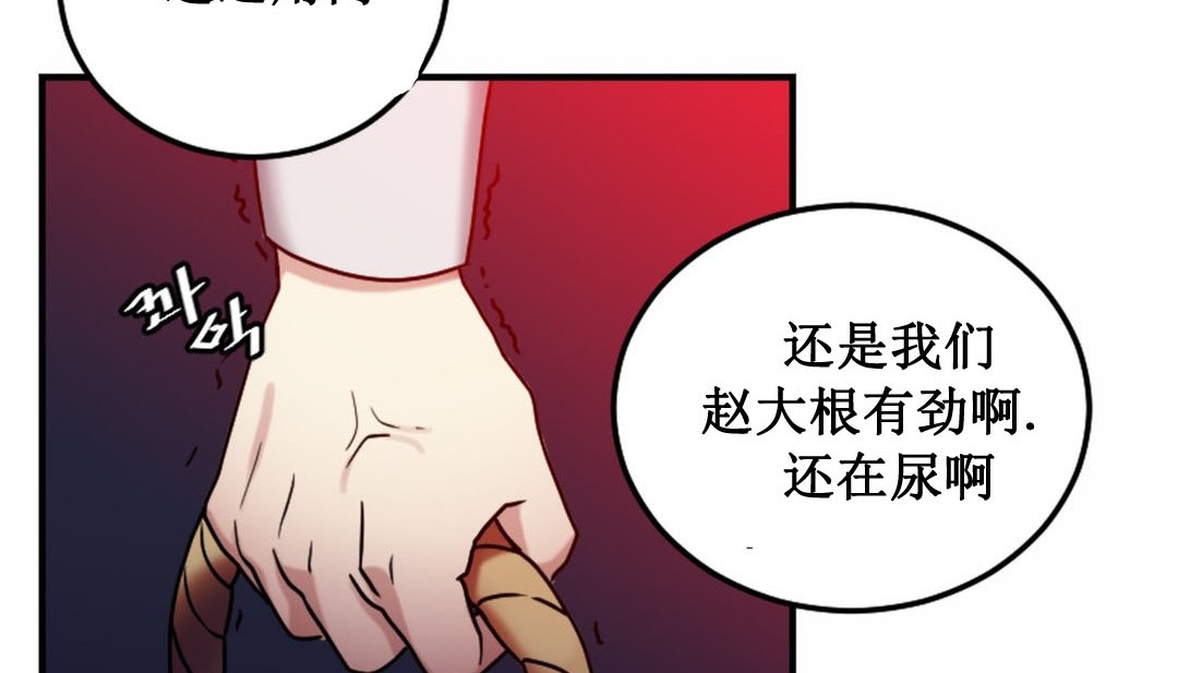206P - 情趣绳子