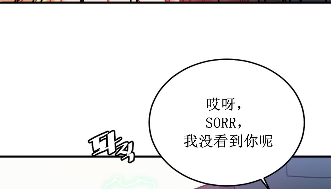 211P - 情趣绳子