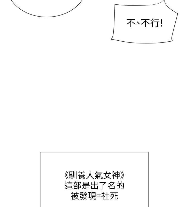 31P - 女神都在看这些?
