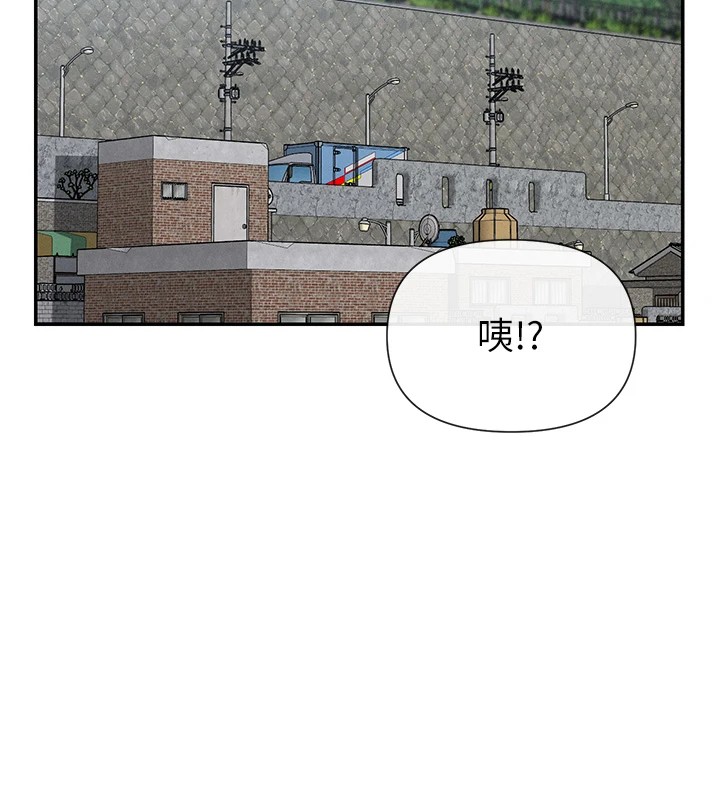 119P - 女神都在看这些?