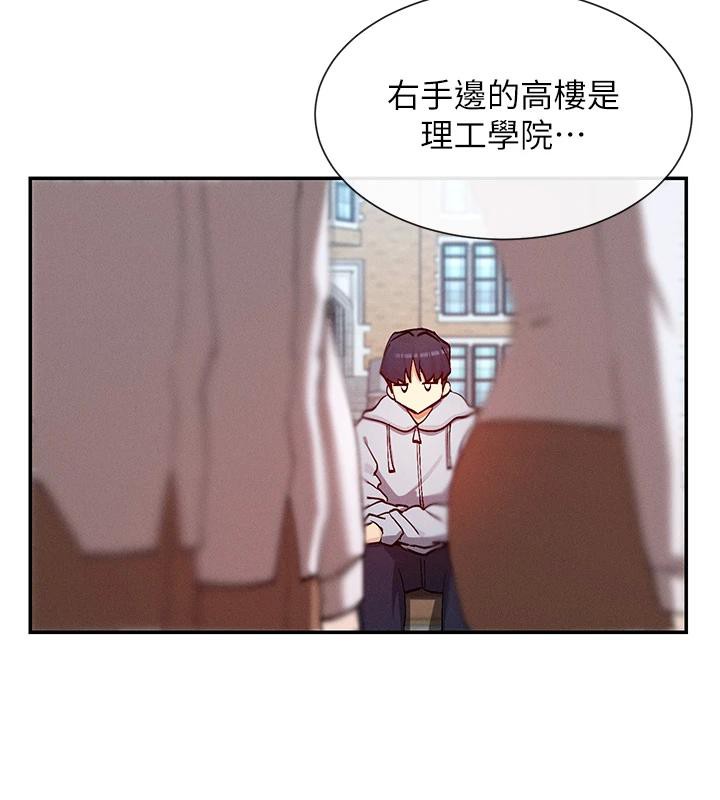 17P - 女神都在看这些?