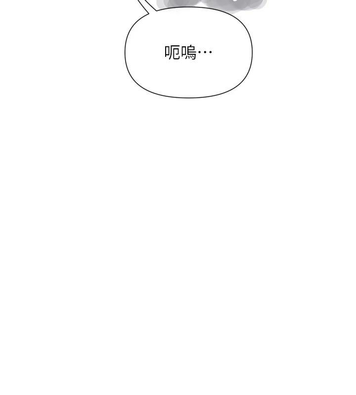 137P - 女神都在看这些?