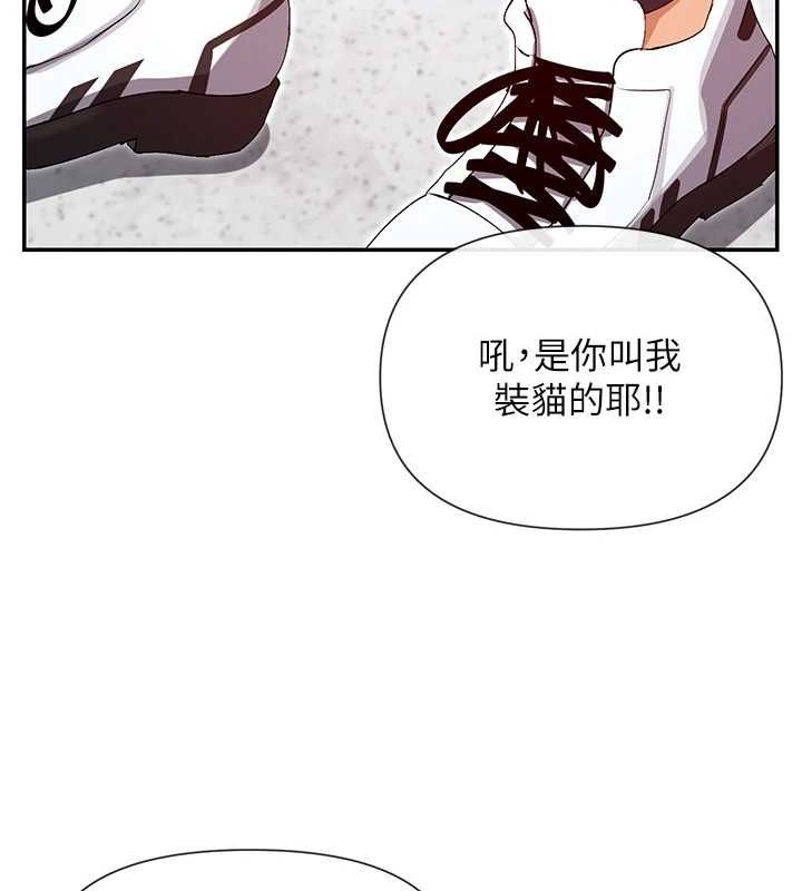 121P - 女神都在看这些?