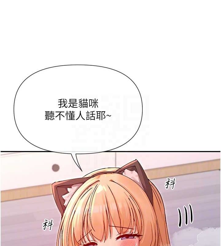 28P - 女神都在看这些?