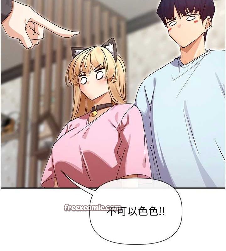 80P - 女神都在看这些?