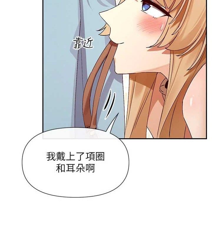 49P - 女神都在看这些?