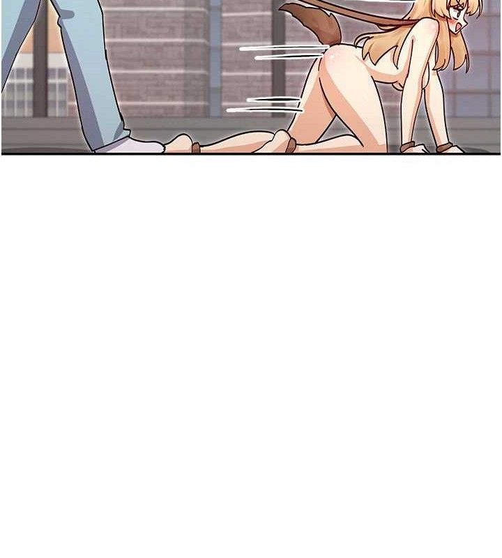 71P - 女神都在看这些?