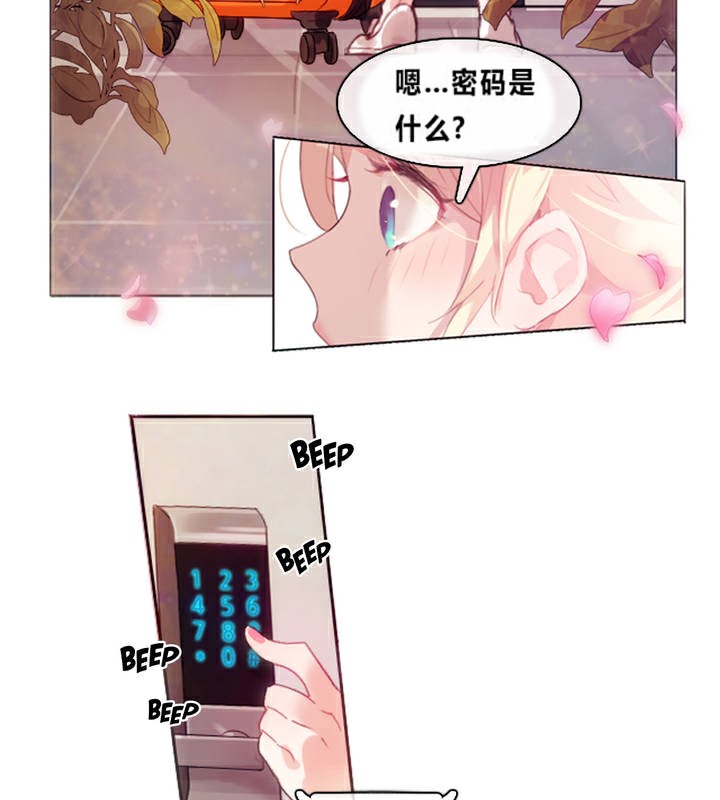 6P - 一个变态的日常生活/A Pervert's Daily Life / 闯进她的生活