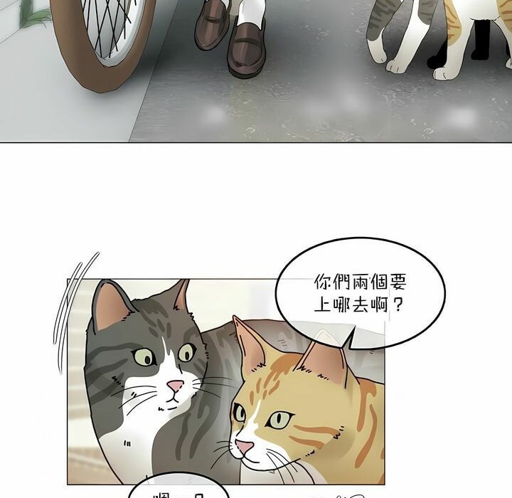 19P - 一个变态的日常生活/A Pervert's Daily Life / 闯进她的生活