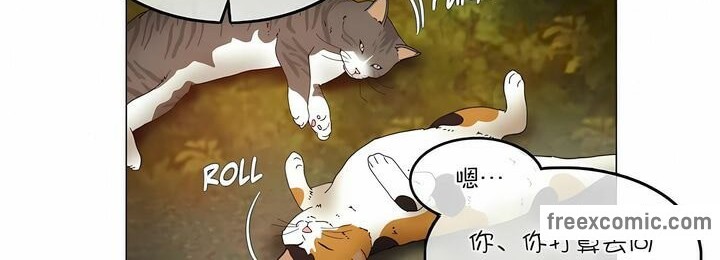 12P - 一个变态的日常生活/A Pervert's Daily Life / 闯进她的生活