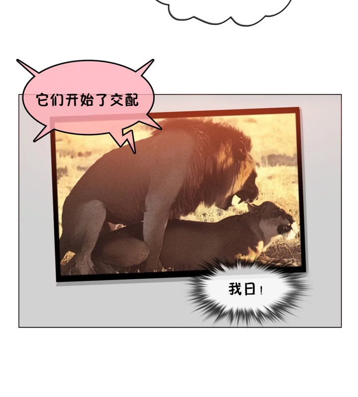 37P - 一个变态的日常生活/A Pervert's Daily Life / 闯进她的生活