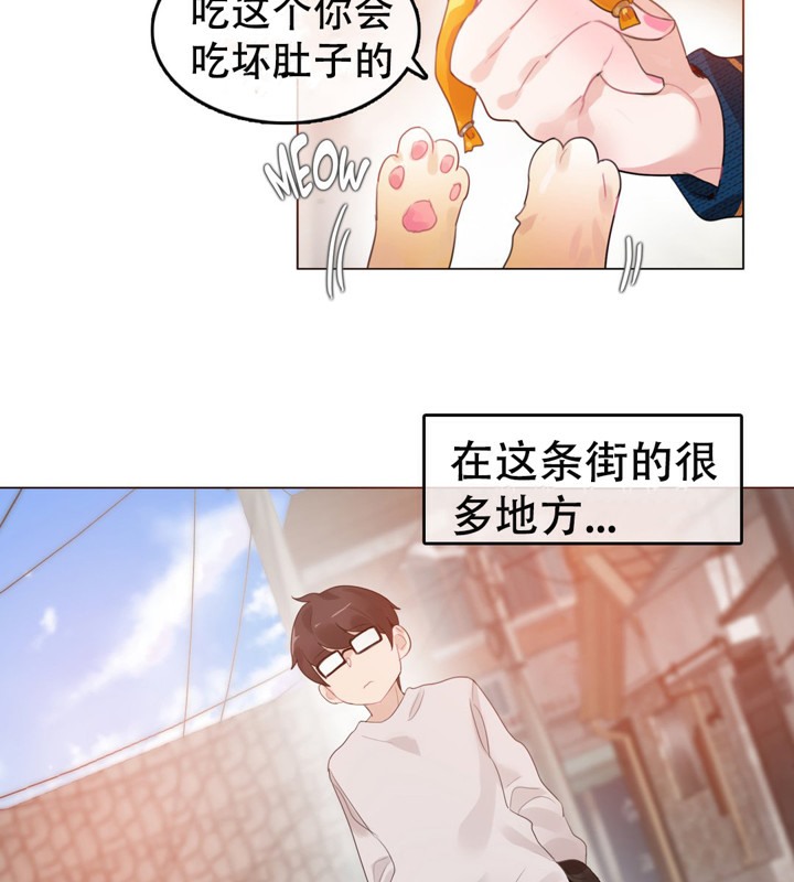 70P - 一个变态的日常生活/A Pervert's Daily Life / 闯进她的生活