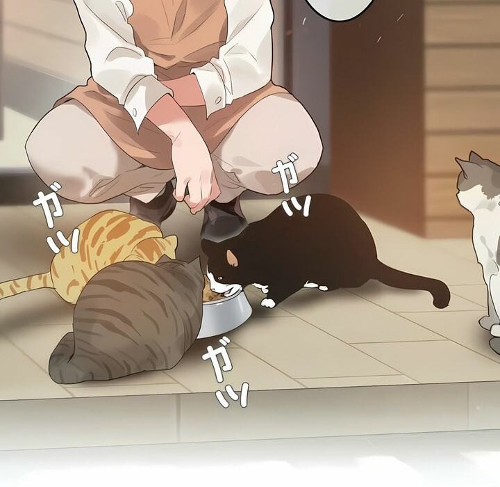 22P - 一个变态的日常生活/A Pervert's Daily Life / 闯进她的生活