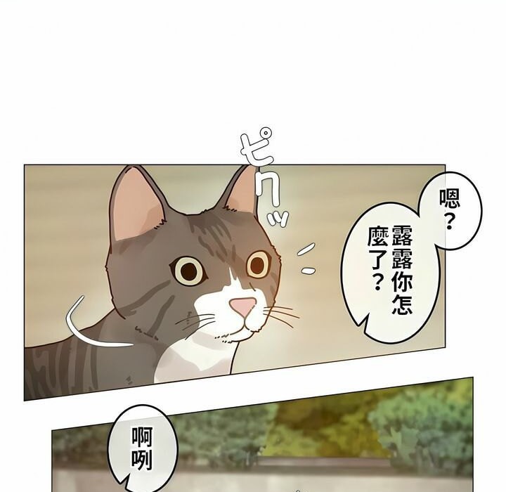23P - 一个变态的日常生活/A Pervert's Daily Life / 闯进她的生活