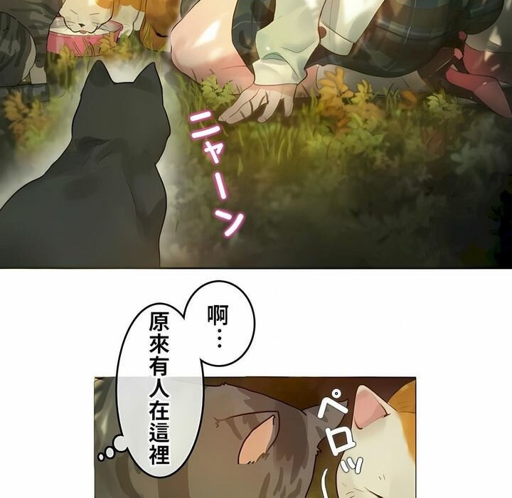 31P - 一个变态的日常生活/A Pervert's Daily Life / 闯进她的生活