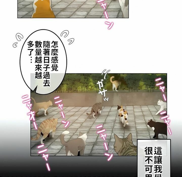 44P - 一个变态的日常生活/A Pervert's Daily Life / 闯进她的生活
